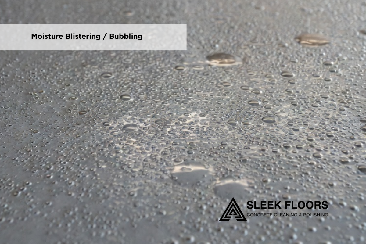 Moisture Blistering _ Bubbling